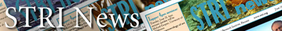 Collection logo