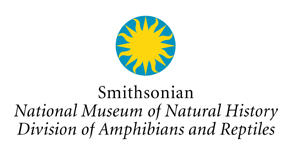 Collection logo